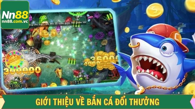 Bắn Cá Đổi Thưởng - Cơ Hội Rinh Quà Khủng Dễ Dàng Tại NN88 2 Khái quát về sân chơi săn cá hàng đầu tại NN88