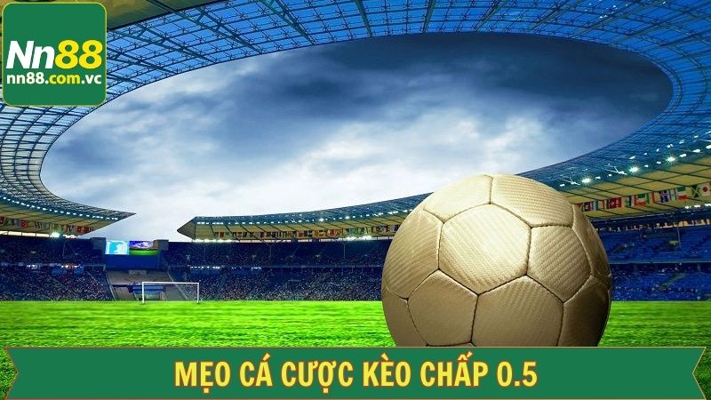 Kèo Chấp 0.5 - Cách Chiến Thắng Từ Những Mẹo Chơi Chuẩn Xác 4 Danh sách các thông tin cần lưu ý về kèo chấp 0.5