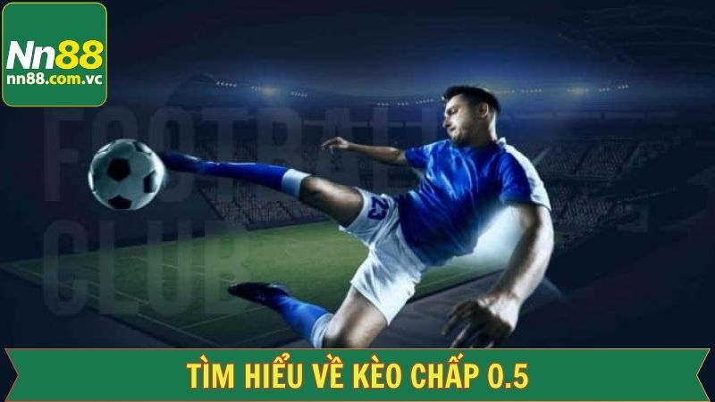 Kèo Chấp 0.5 - Cách Chiến Thắng Từ Những Mẹo Chơi Chuẩn Xác 2 Khái quát đơn giản thông tin chính về cược chấp 0.5